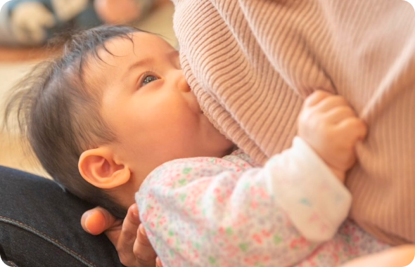 授乳の様子